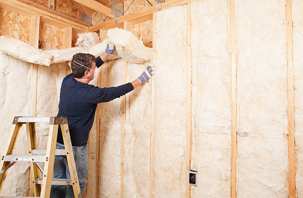 Eco-Friendly or Green Insulation Solutions in Port Republic, NJ